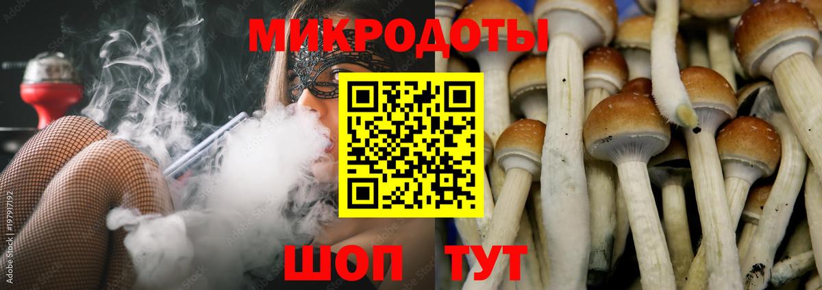 купить наркоту  Вход с VPN  Галлюциногенные грибы Cubensis  Пыть-Ях  Псилоцибиновые грибы MAGIC MUSHROOMS 
